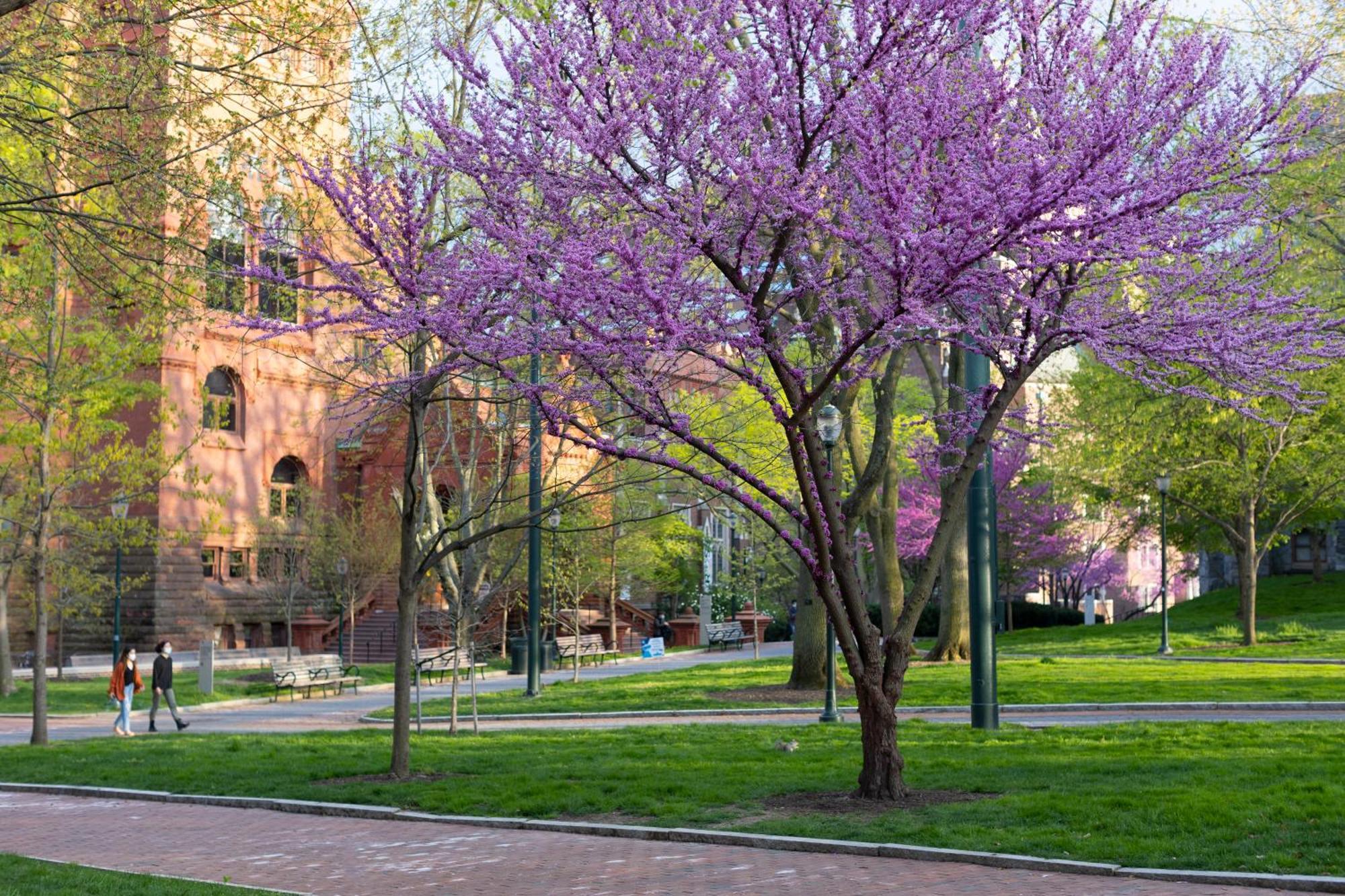 The At Penn, A Hilton Hotel Filadelfia